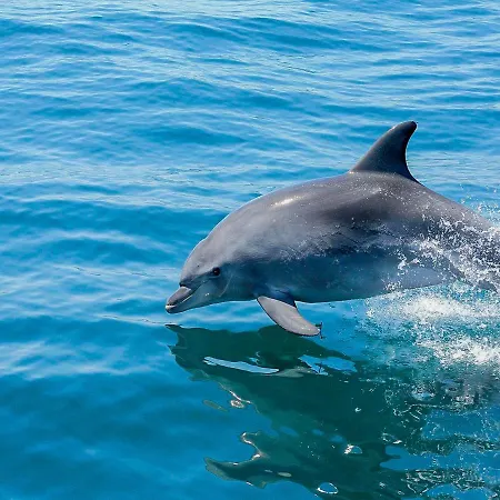 Villa V4, Jardins Branqueira2 Near Beach,