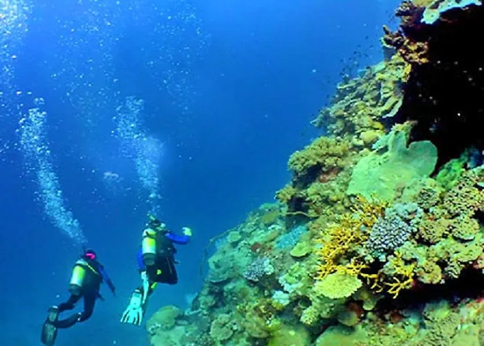 V4, Jardins Branqueira2 Near Beach, ヴィラ アルブフェイラ